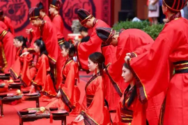 毒物游戏角色命名艺术,从创意到实践的探索