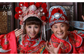 子鼠十二生肖的奇妙之旅