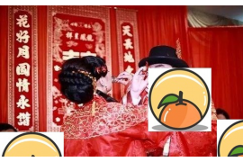 自媒体时代，揭秘成功事业背后的每日宜忌