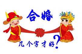 狮子座与双子座，星座配对的深度探讨