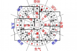 揭秘处女座，深入探讨性格特质与独特魅力