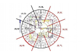 摩羯座是否聪明？揭秘星座性格与智慧之谜