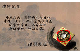 生肖鼠，智慧与灵动的象征