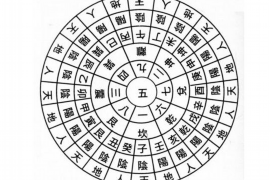 冲猴生肖，解析生肖相冲背后的文化与影响