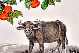 起名秘籍，如何根据五行平衡取名？