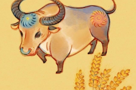 嘉兴婚姻咨询，为爱而行的专业服务