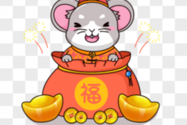 从星座看人生，双子座学子如何砥砺前行，成就大学梦想？