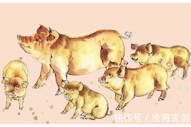 新生儿合八字，如何理解并正确运用八字合婚的智慧