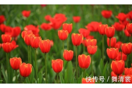 谜团中的生肖，虎头蛇尾猜一生肖
