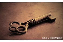 十二生肖猪，智慧与幸运的象征