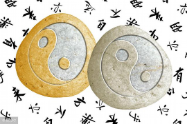 情感语录中的矛盾交织