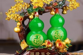 鸡的对冲生肖之谜，探索与发现
