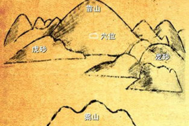 时晨八字算命与起名免费服务探析