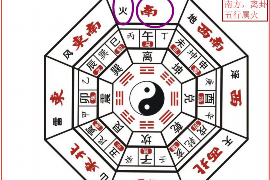 七上八下与生肖鼠的奇妙缘分