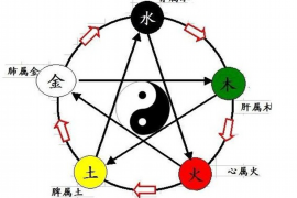 情感挽回中,男生适合送哪些礼物?