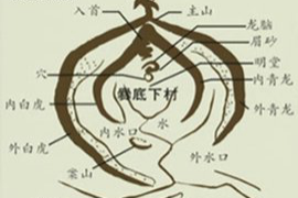 三月生肖鸡，展翅翱翔的璀璨魅力
