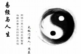 揭秘猪年生肖与八字命理，你的人生运势如何被决定？