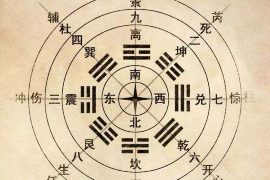 生肖猪2019年运势全面解析
