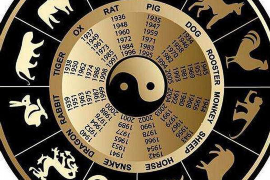 龙与兔的生肖奥秘，解析龙兔生肖配对的奥秘