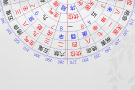 生肖粉猪，中国传统文化中的幸运与温馨的象征