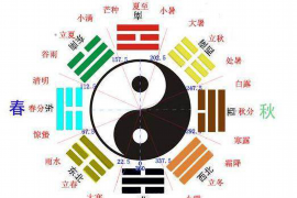 揭秘情感导师，澄城地区专业热线电话背后的故事与亮点