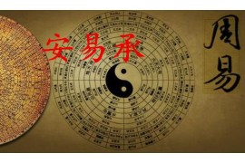 粉柚情感导师的解惑之路