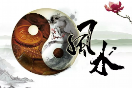 狮子座双重人格，星空的双面王者