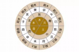 八字身弱，解读命运中的体质与运势
