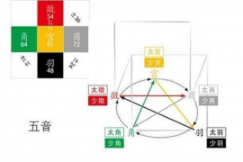 自媒体人眼中的婚姻情感短语，照亮爱情长河的珍贵珍珠