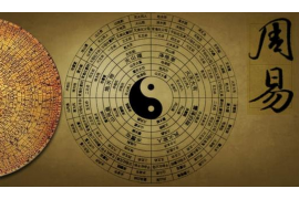 情感专家咨询，解答情感困惑，助力心灵成长