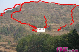 如何为猫咪起一个别致又可爱的名字？