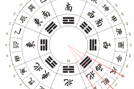 生肖猪五行属性详解