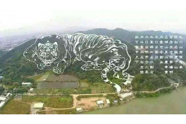 道教游戏，探秘仙境，寻觅道心之名
