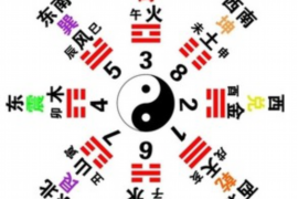 打狗欺主，谜中生肖—揭示生肖之谜