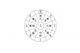 婚姻情感专家田园的智慧与建议