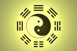 生肖狗开运秘籍，解锁你的幸运密码