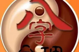 可惜我是水瓶座，一部探索星座与人生的小说
