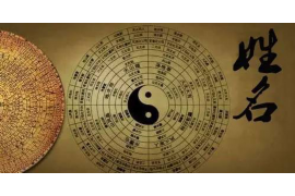 瓷都免费八字算命，探寻命运之谜，揭示人生奥秘