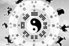 关于选择生子黄道吉日的考量