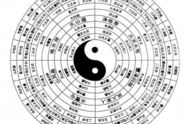 探索双子座女与十二星座的缘分碰撞，谁是最为契合的星座伴侣？