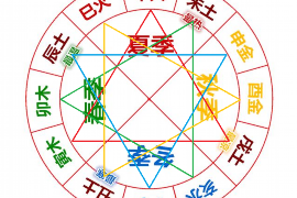 狗的对冲生肖，揭秘生肖间的奇妙关系