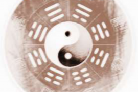 情感悦欣导师，心灵的导航者，情感成长的引领者