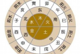 揭秘鞭马生肖，探寻生肖背后的故事