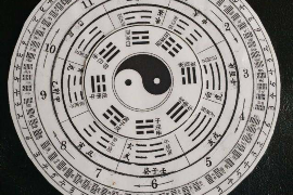 水瓶座之天赋，探寻职业之路的独特密码