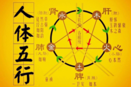 店铺起名，砂锅的魅力与文化
