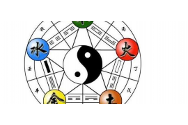 情感导师之路，知名人物的智慧与影响力