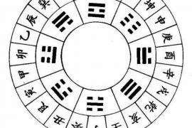 刘亦菲的八字命理解析