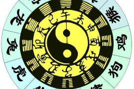 八字排盘解析，探秘命理之术