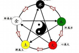 十二生肖今日运势—星象下的生肖运势大揭秘