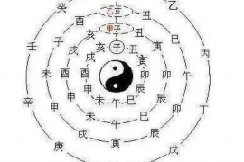 揭秘幸福上上签，情感咨询的独特魅力与实用价值